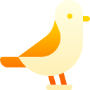 pájaro icon