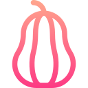 calabaza moscada icon