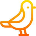 pájaro icon