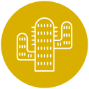 cactus icon