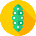 oruga icon