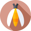 cigarra icon