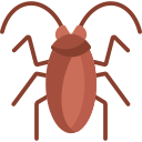 cucaracha icon