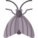 polilla icon