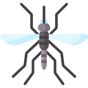 mosquito icon