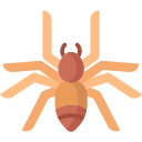 araña icon