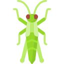 saltamontes icon