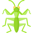 mantis icon