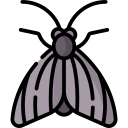 polilla icon