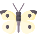 mariposa icon