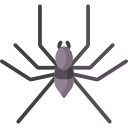 araña icon