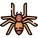 araña