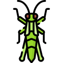 saltamontes icon