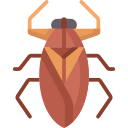 insecto de agua gigante icon