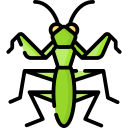 mantis icon