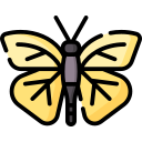 mariposa icon