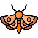 polilla icon