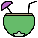 agua de coco icon