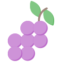 uvas icon