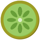 kiwi icon