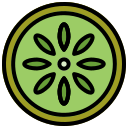 kiwi icon