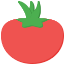 tomate icon