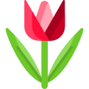 tulipán icon