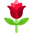 rosa icon