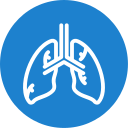 pulmones icon