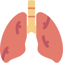 pulmones icon