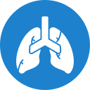 pulmones