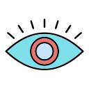 ojo icon