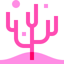 coral icon