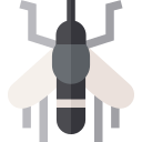 mosquito tigre