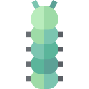 oruga