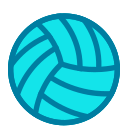 pelota de voleibol 