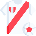 selección nacional icon