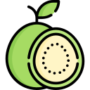 guayaba icon