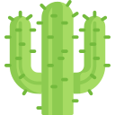 cactus icon