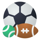 juego de deportes icon