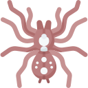 araña icon