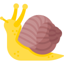 caracol