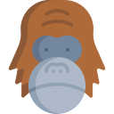 orangután 