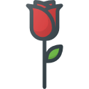 rosa icon