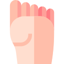 pie icon