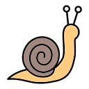 caracol