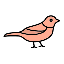 pájaro icon