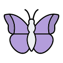 mariposa