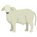 vaca icon