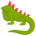 iguana